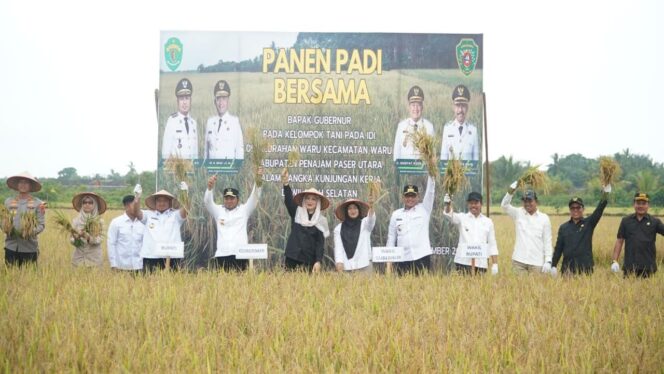 
					Foto: Bupati PPU Mudyat Noor mendampingi Gubernur Kaltim Rudy Mas'ud saat panen padi bersama petani di Kelurahan Waru, Kamis (18/9/2025). (Dok. Humas PPU)