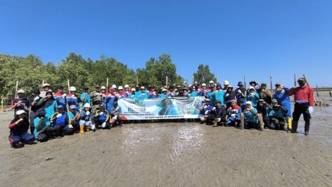 
					Foto: Pertamina bersama berbagai pihak menanam mangrove di Pulau Bunyu menggunakan inovasi ramah lingkungan MBP-Shield. (Dok. PEP)