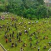 Foto: Insan Otorita IKN menanam 700 pohon di Aliran Sunggai Sanggai IKN pada Sabtu (27/09/2025). (Dok. Humas OIKN)