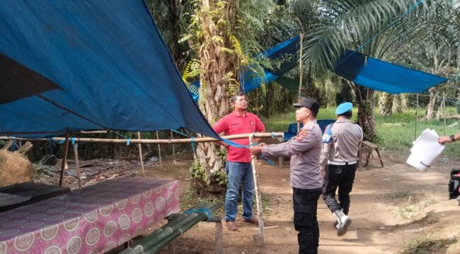 Foto: Sejumlah personel gabungan menertibkan arena sabung ayam di tengah kebun sawit Kelurahan Sotek, Penajam, Rabu (8/10/2025) (Dok. Polres PPU)