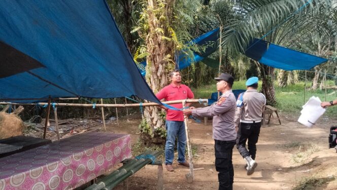 
					Foto: Sejumlah personel gabungan menertibkan arena sabung ayam di tengah kebun sawit Kelurahan Sotek, Penajam, Rabu (8/10/2025) (Dok. Polres PPU)