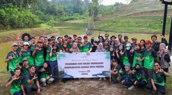 Foto: Sejumlah 500 kilogram ikan air tawar ditebar oleh Otorita IKN di Embung H, KIPP Nusantara, Jumat (17/10/2025). (Dok. Humas OIKN)