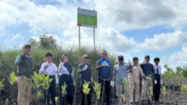 Foto: Perwakilan PT Pertamina Hulu Mahakam (PHM), Pertamina Foundation, bersama siswa SMPN 6 Anggana melakukan penanaman mangrove di kawasan Hutan Pertamina Mahakam, Desa Sepatin, Kutai Kartanegara, Selasa (14/10/2025). (Dok. PHM)