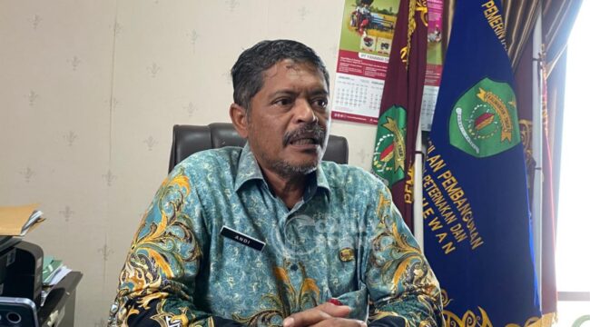 
Foto : Kepala Distan PPU, Andi Trasodiharto, saat ditemui di Kantornya, (Dok : CahayaBorneo/AJI).