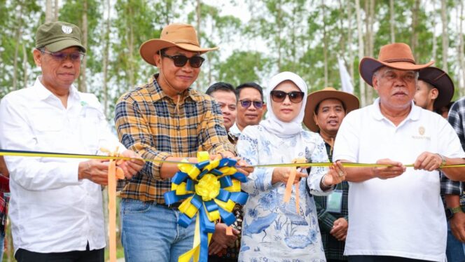 
					Kepala Otorita Ibu Kota Nusantara (IKN) bersama perwakilan Kementerian Kehutanan, PT Pamapersada Nusantara (PAMA), dan Universitas Gadjah Mada (UGM) melakukan prosesi pemotongan pita sebagai tanda dimulainya program eco-edu forest dan pelepasliaran rusa sambar di kawasan Wanagama IKN, Nusantara, pada Kamis (20/11/2025).
